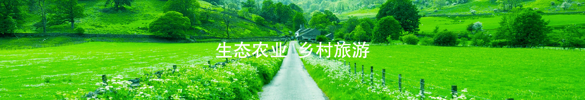 重庆妙翅实业有限公司